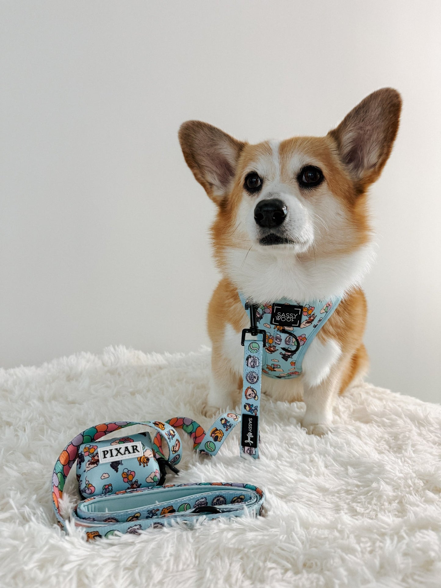 Dog Waste Bag Holder - Disney and Pixar's Up