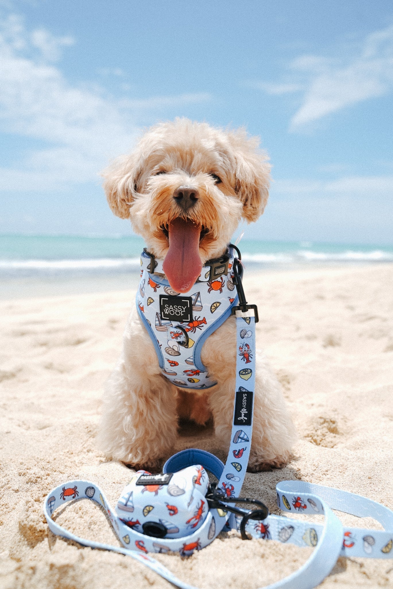 Dog Leash - Coastal Cuties
