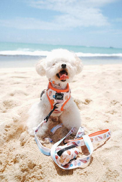 Dog Two Piece Bundle - Shell Yeah