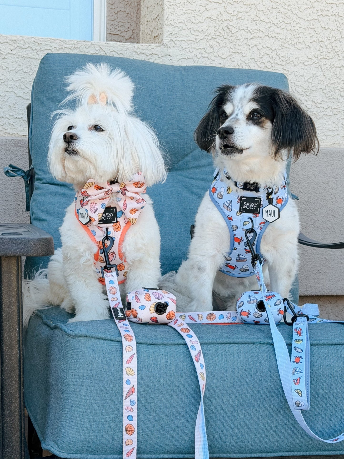 Dog Leash - Coastal Cuties