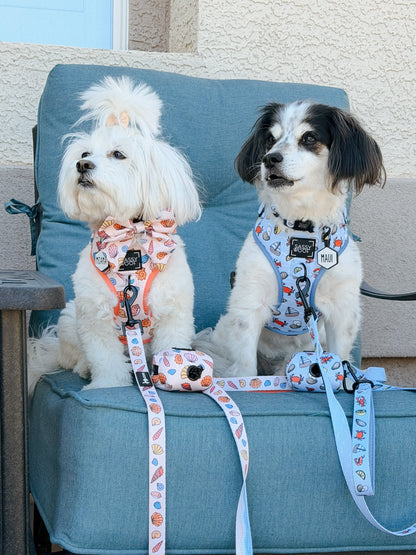 Dog Leash - Coastal Cuties