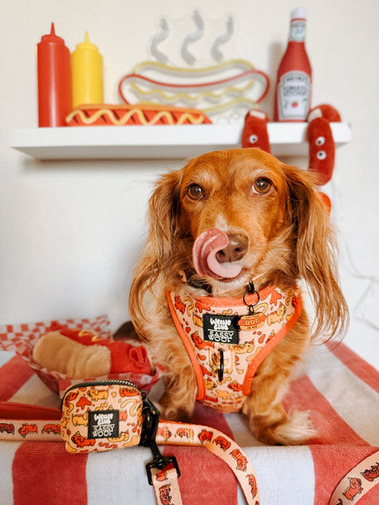 Dog Four Piece Bundle - Hot Dawg