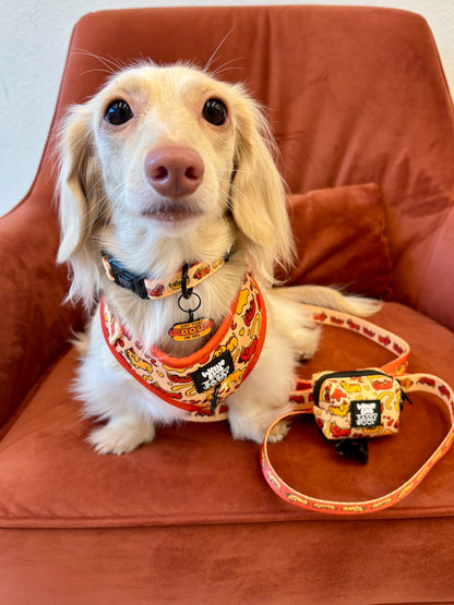 Dog Four Piece Bundle - Hot Dawg