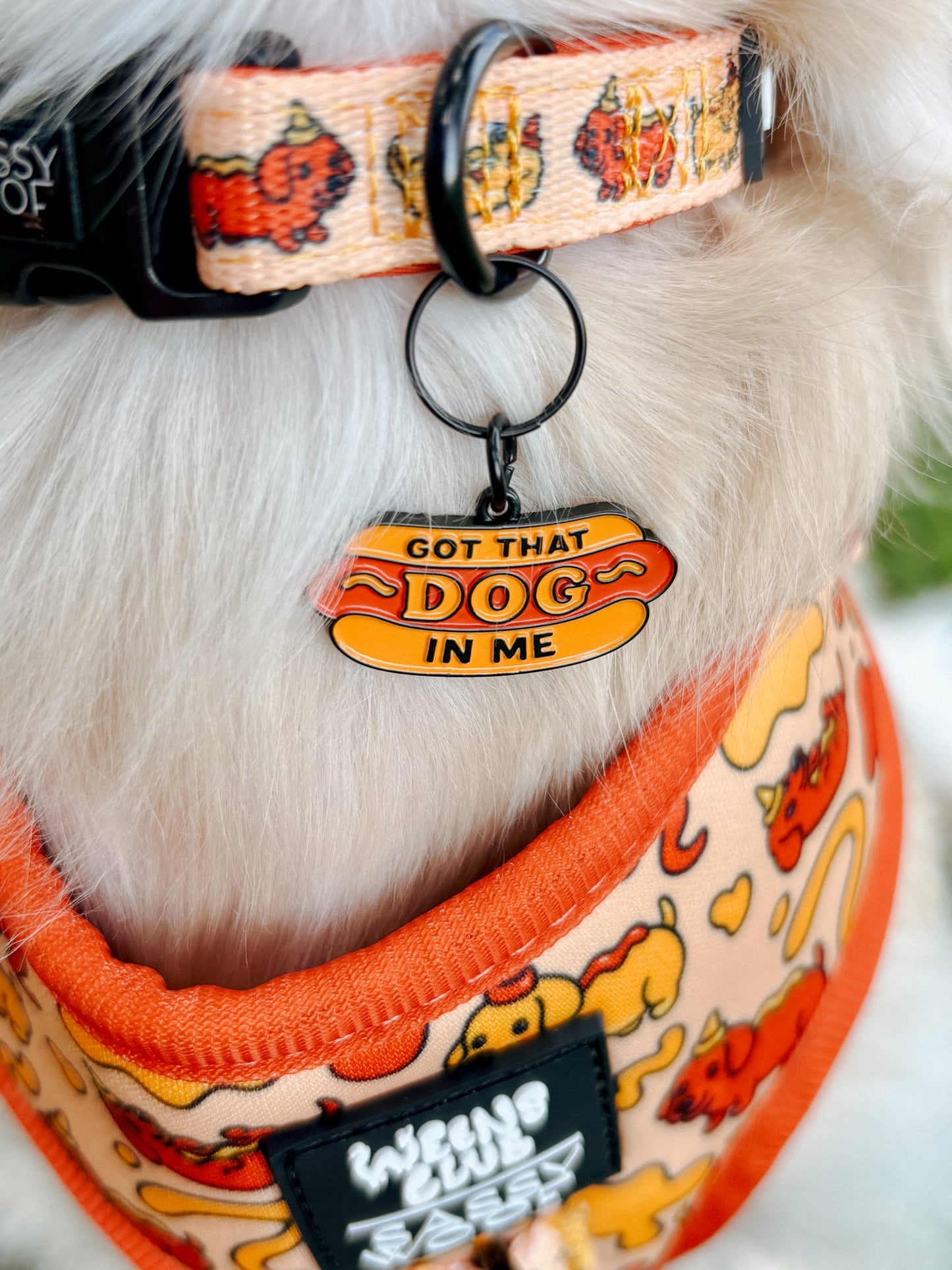 Dog Four Piece Bundle - Hot Dawg