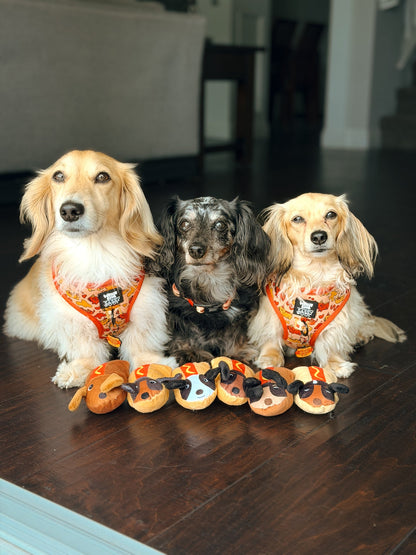 Dog Four Piece Bundle - Hot Dawg