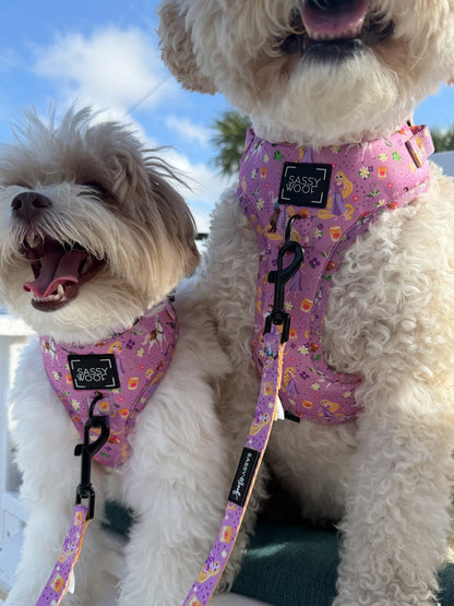 Harness Three Piece Bundle - Disney's Rapunzel