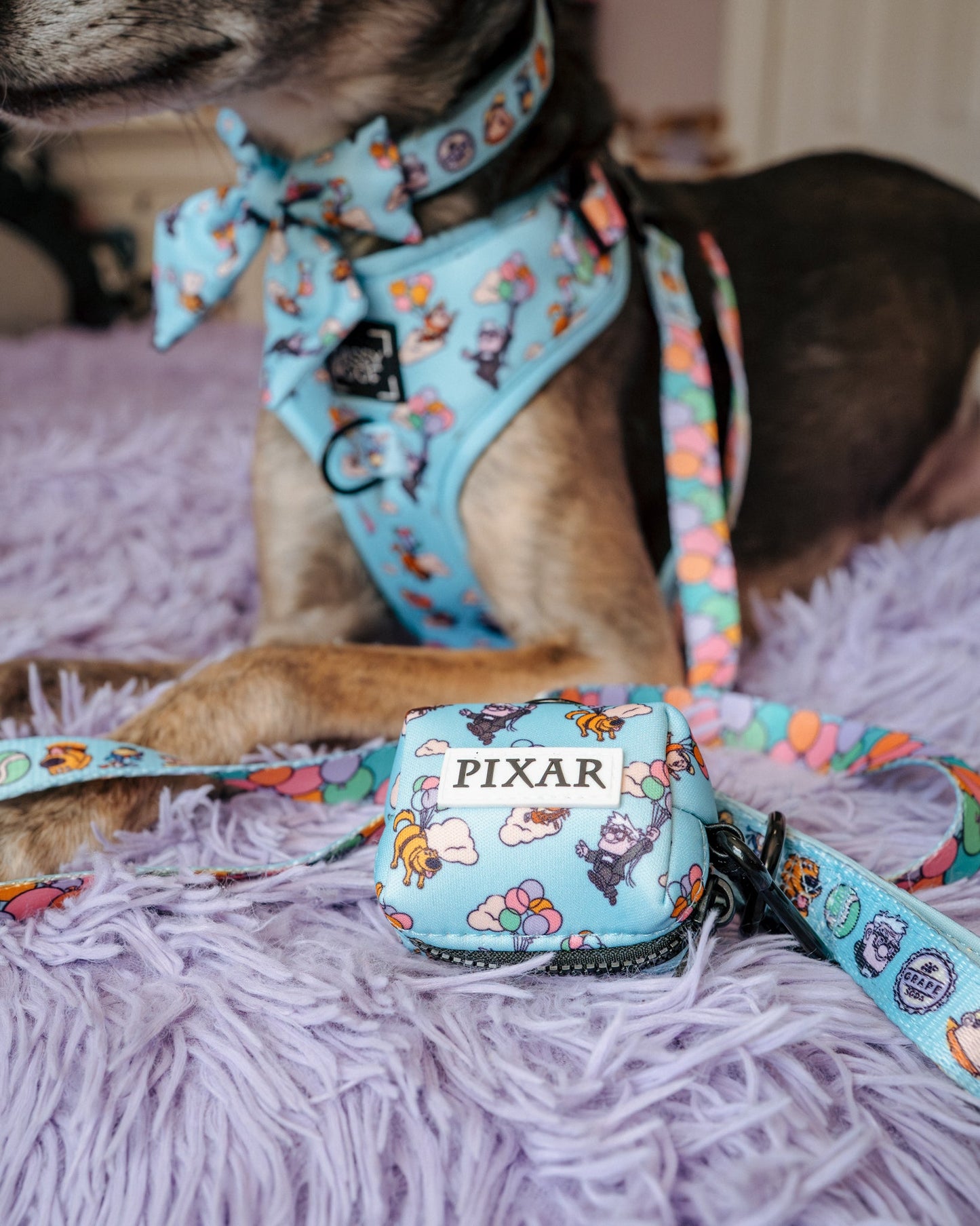 Dog Waste Bag Holder - Disney and Pixar's Up