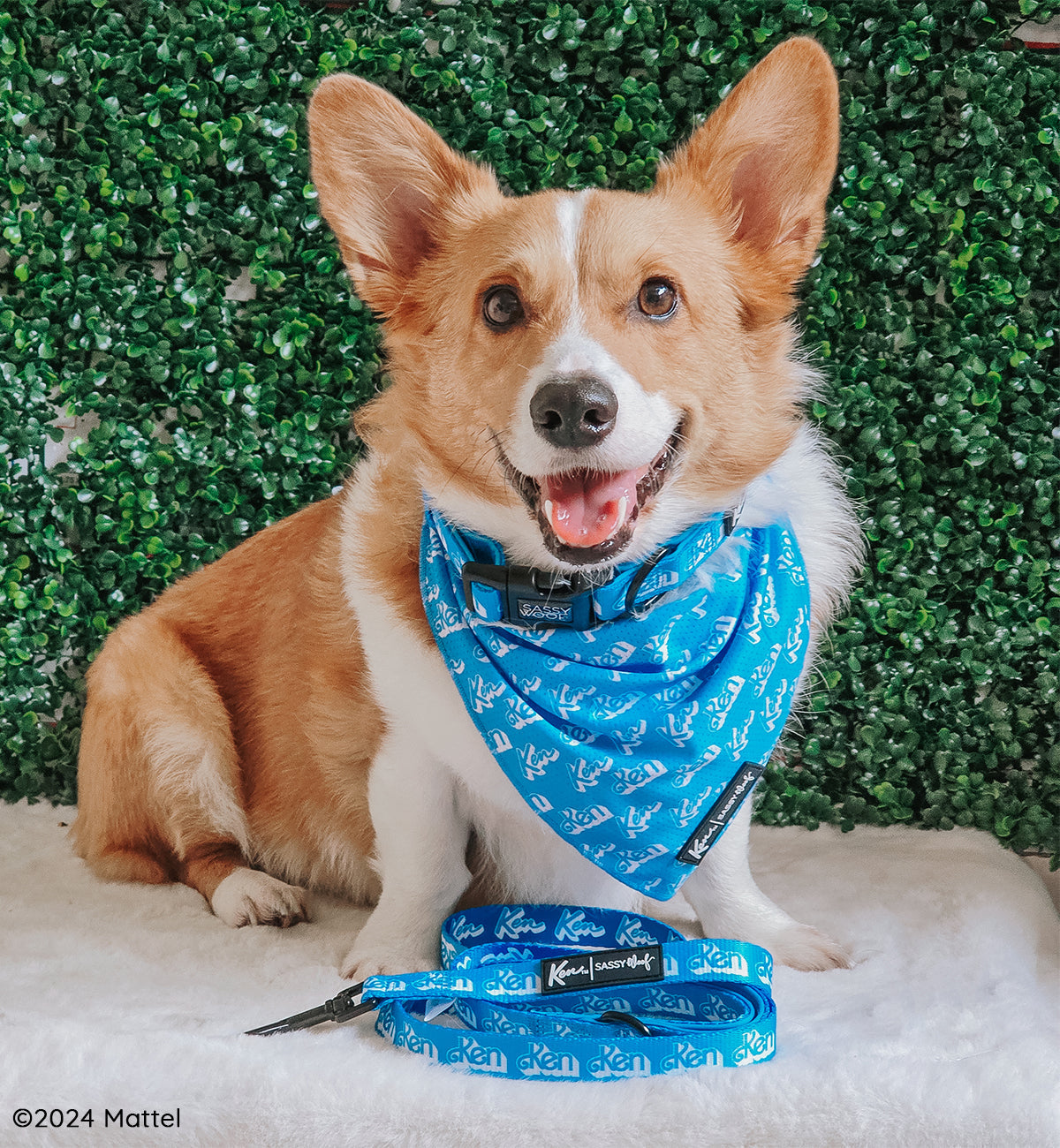 Dog Bandana - KEN™