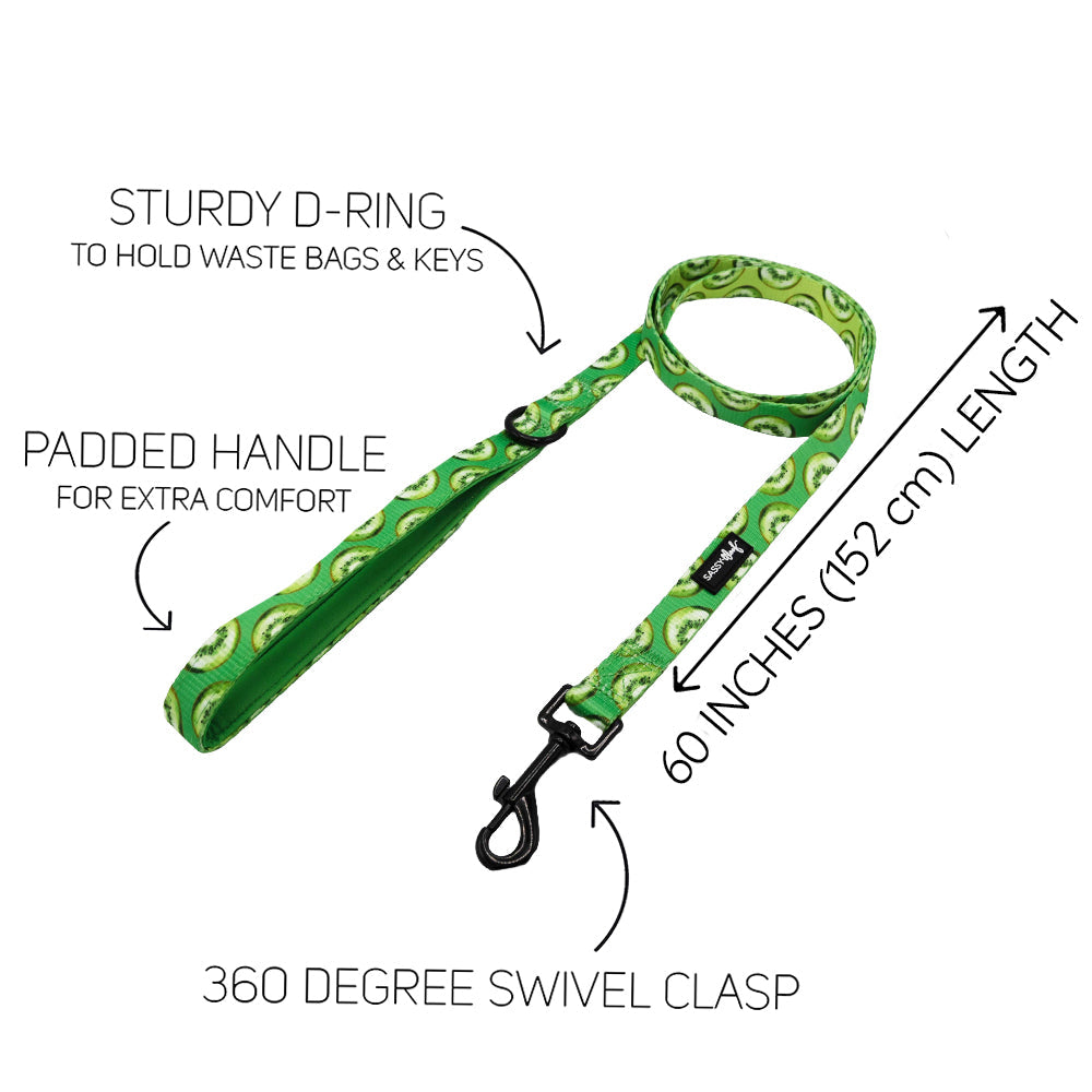 Dog Two Piece Bundle -  Kiwi Krazy