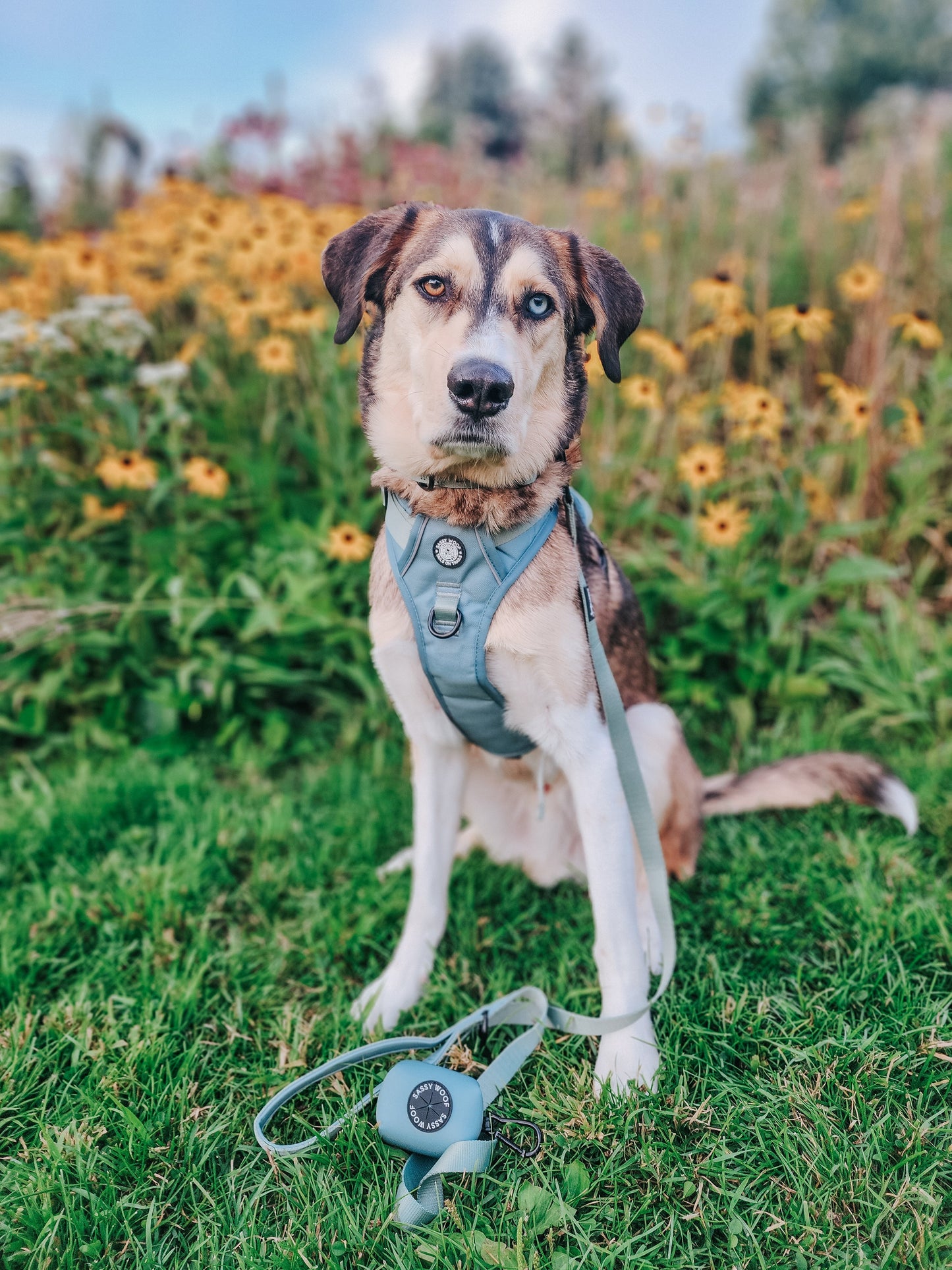 Dog Waste Bag Holder - Sage