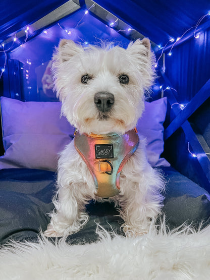 Dog Adjustable Harness - The Night Life