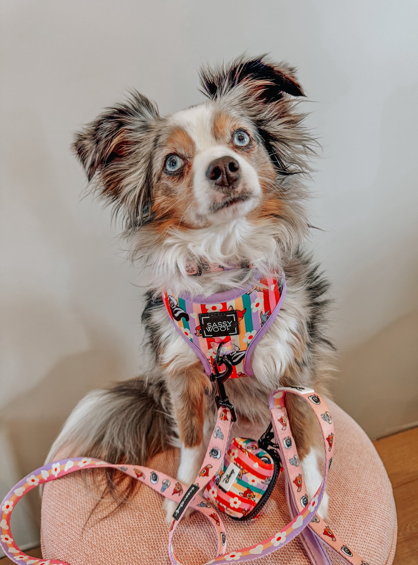 Dog Three Piece Bundle - Disney's Bambi