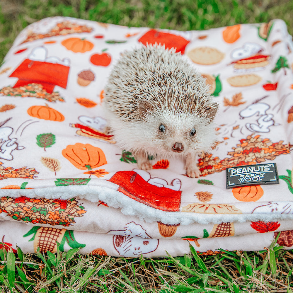 Pet Blanket - Peanuts™ Harvest