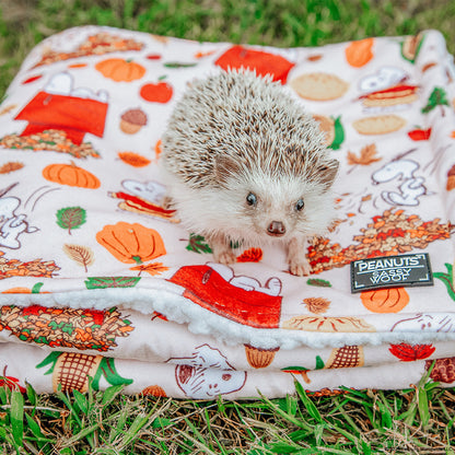 Pet Blanket - Peanuts™ Harvest