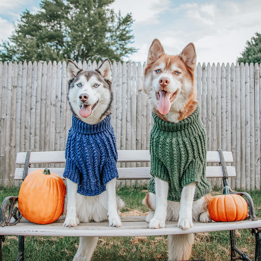 Pet Cable Knit Sweater - Dark Green
