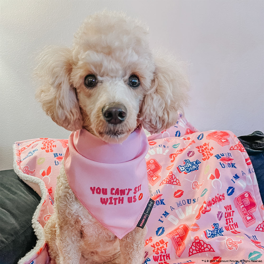 Dog Bandana - Mean Girls™ You Can't Sit With Us