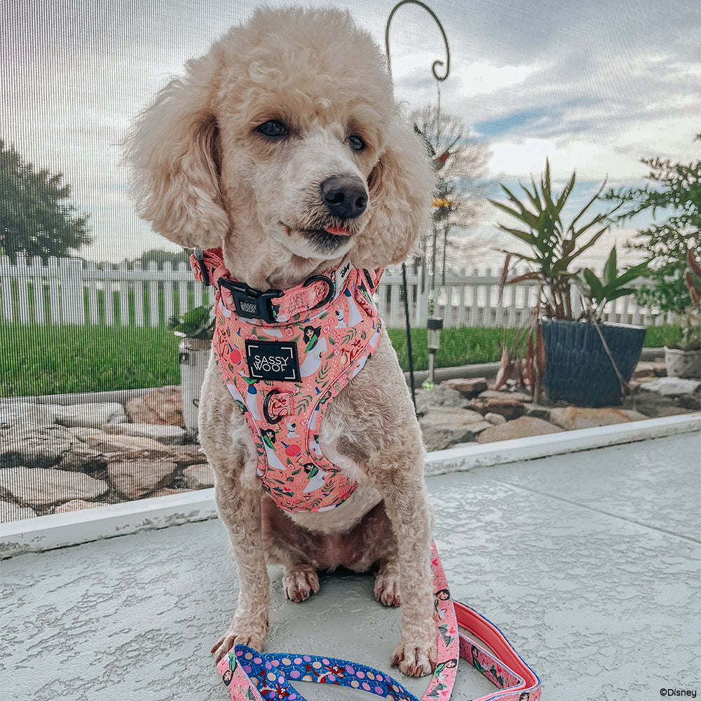 Dog Two Piece Bundle -  Disney's Mulan