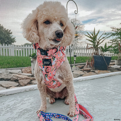 Dog Two Piece Bundle -  Disney's Mulan