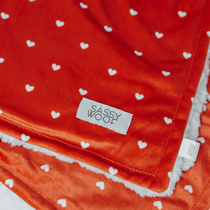 Pet Blanket - Little Love