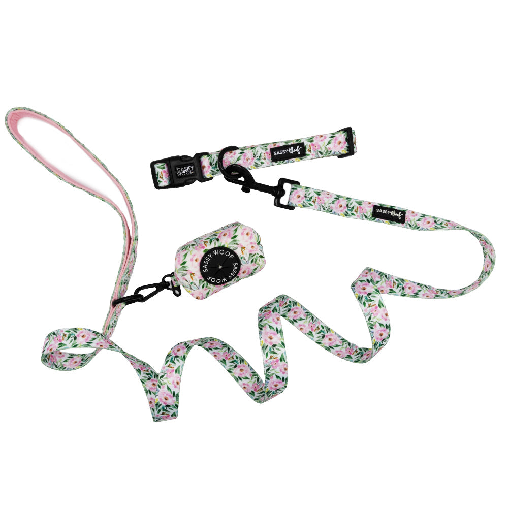 Dog Collar Three Piece Bundle - Magnolia