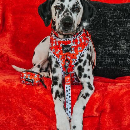 Dog Two Piece Bundle - Disney's 101 Dalmatians