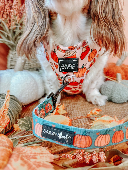 Dog Two Piece Bundle -  Pie There