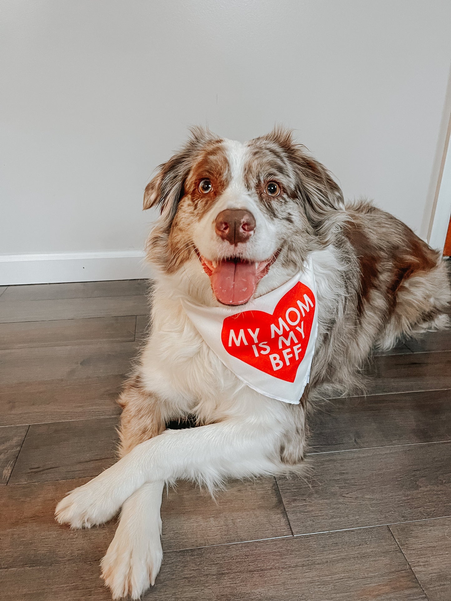 Dog Bandana - My Mom is my BFF (RED)