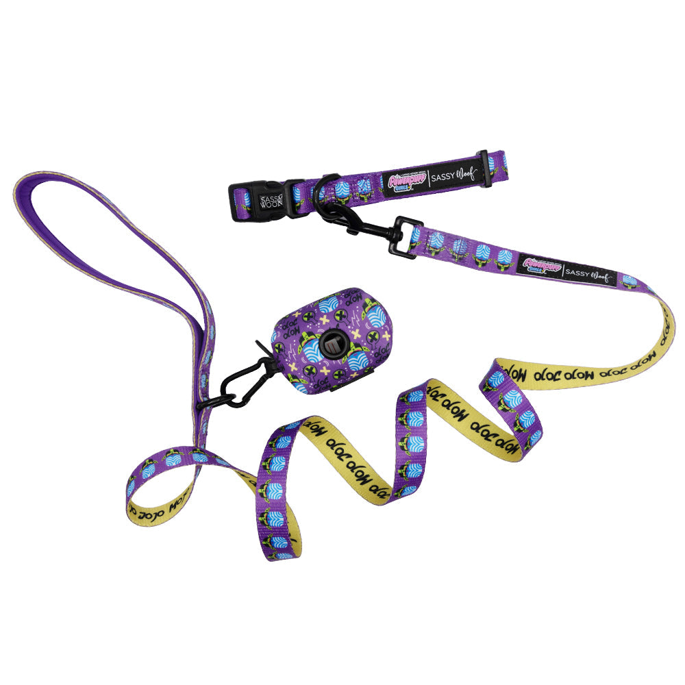 Dog Collar Three Piece Bundle - Mojo Jojo™