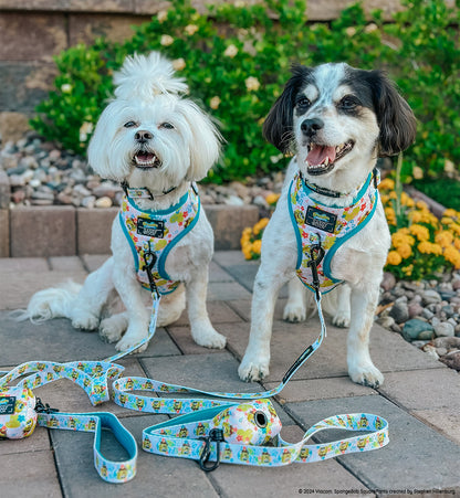 Dog Leash - SpongeBob SquarePants™ Bikini Bottom