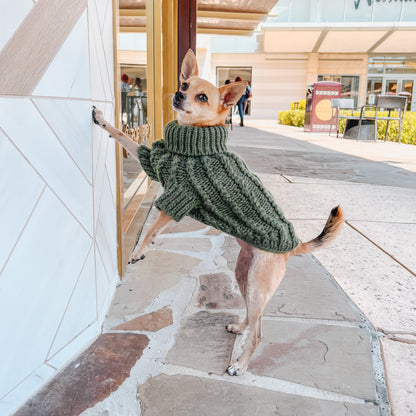 Pet Cable Knit Sweater - Dark Green