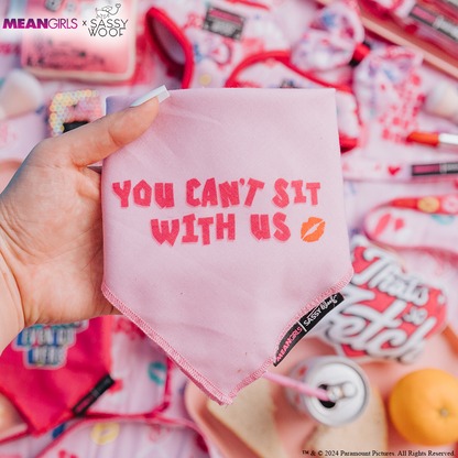 Dog Bandana - Mean Girls™ You Can't Sit With Us