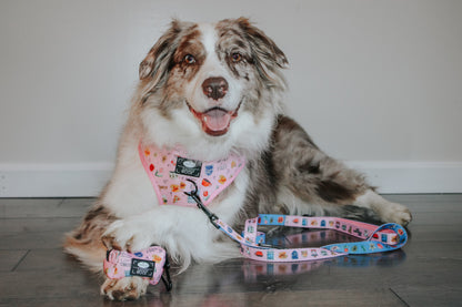 Dog Four Piece Bundle - Gilmore Girls™