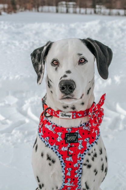 Dog Three Piece Bundle - Disney's 101 Dalmatians