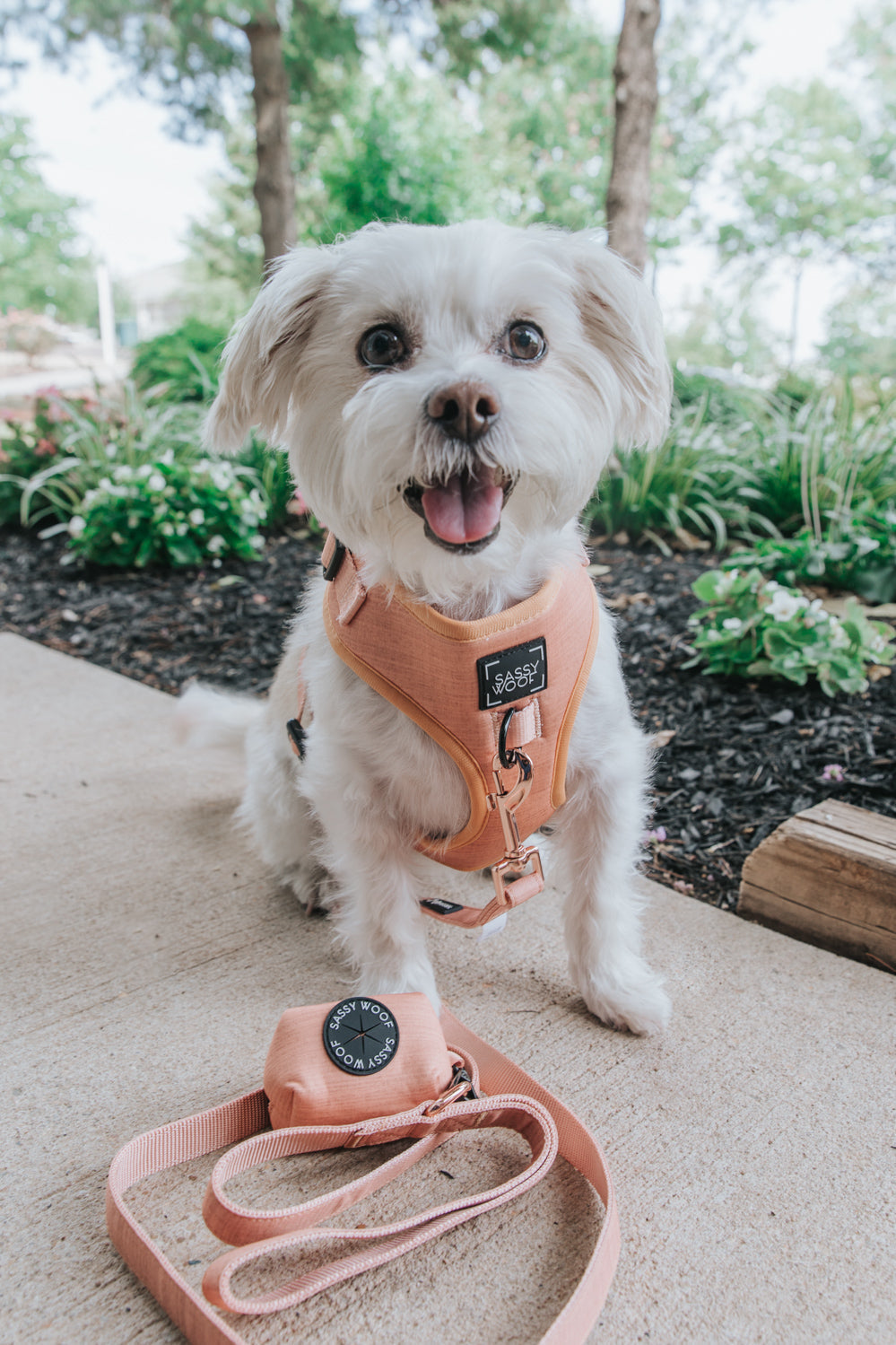 Dog Waste Bag Holder - Apple Cider