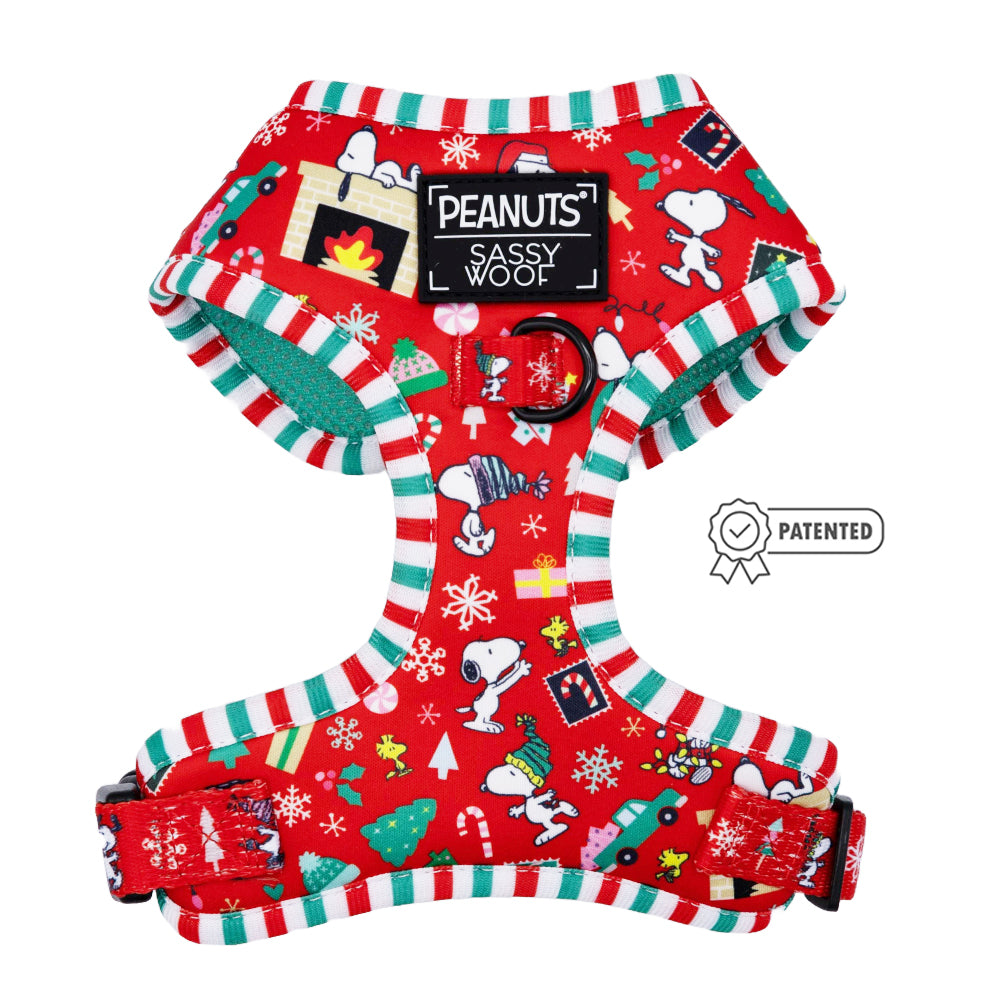 Dog Four Piece Bundle - Peanuts™ Beagle Bells