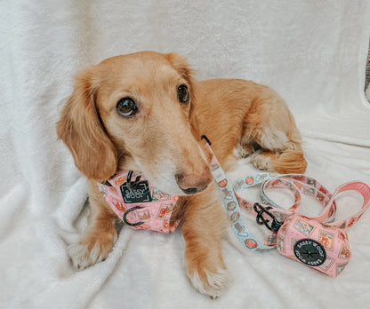 Dog Two Piece Bundle - Out of Office