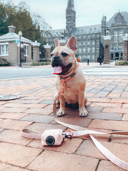Dog Collar Three Piece Bundle - Pinot