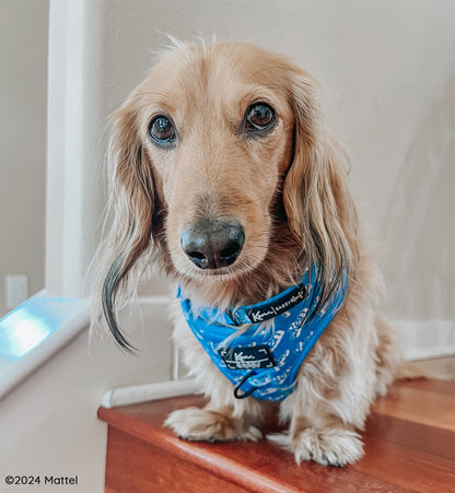 Dog Adjustable Harness - KEN™