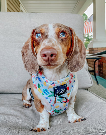 Dog Two Piece Bundle - Beach Please