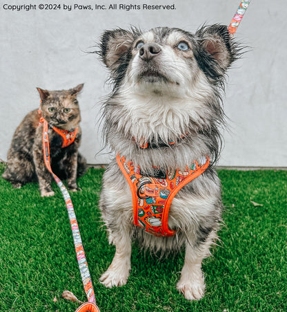 Dog Collar - Garfield™