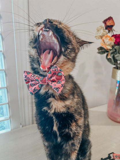 Cat Bowtie - I Chews You