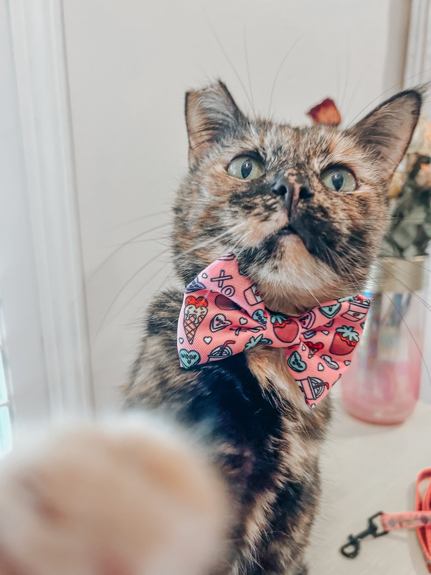 Cat Bowtie - I Chews You