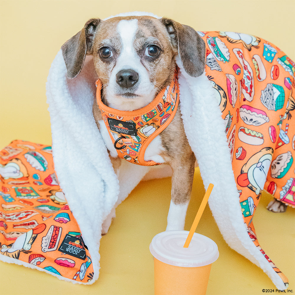 Dog Two Piece Bundle -  Garfield™