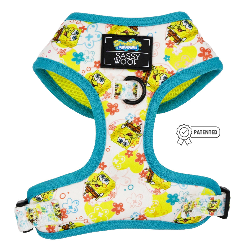 Dog Two Piece Bundle -  SpongeBob SquarePants™ Bikini Bottom