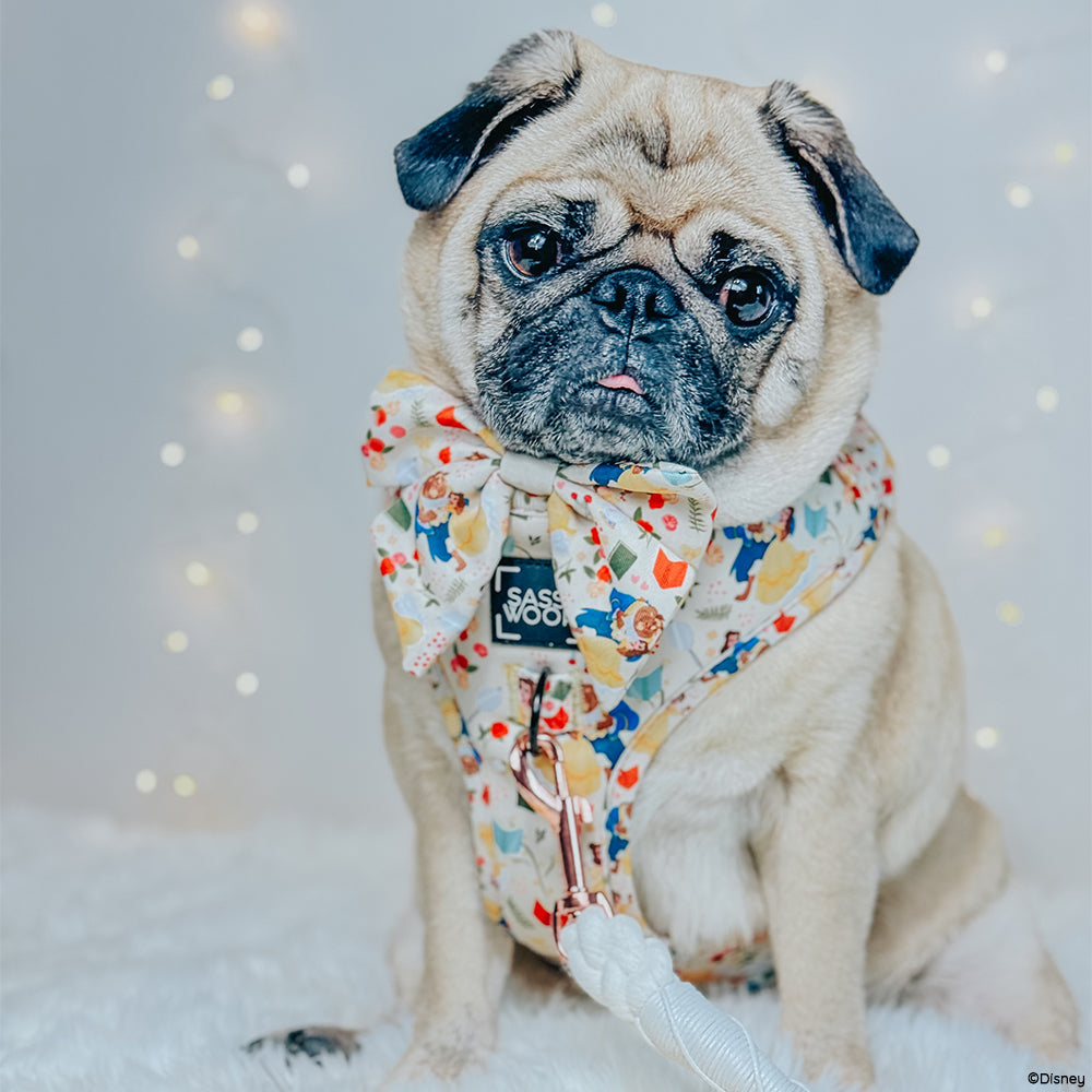 Dog Two Piece Bundle - Disney's Belle