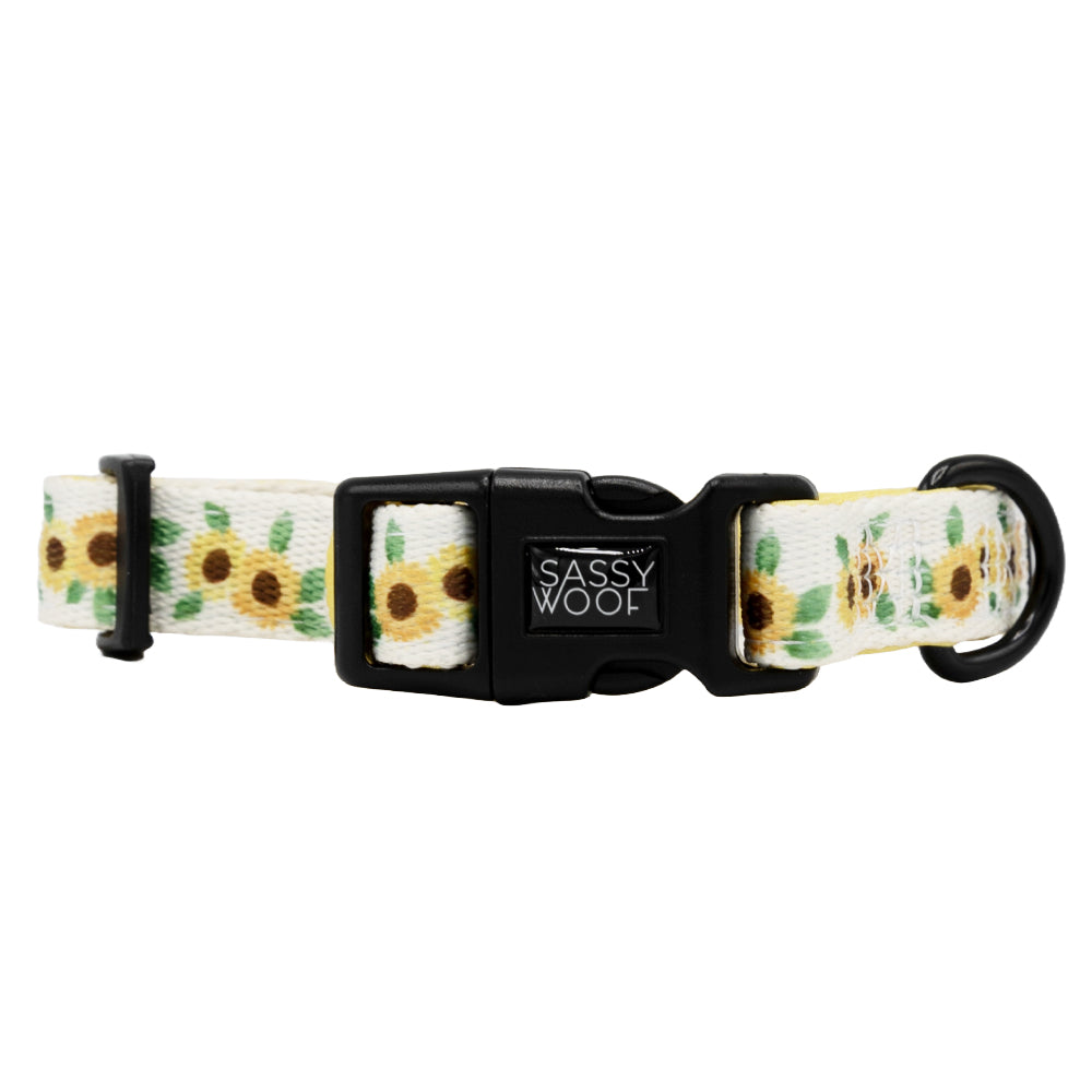 Dog Collar Three Piece Bundle - Sunflower Dreams