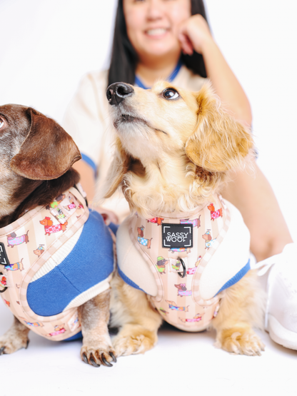 Dog Adjustable Harness - Sunbean
