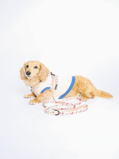 Dog Two Piece Bundle - Sunbean