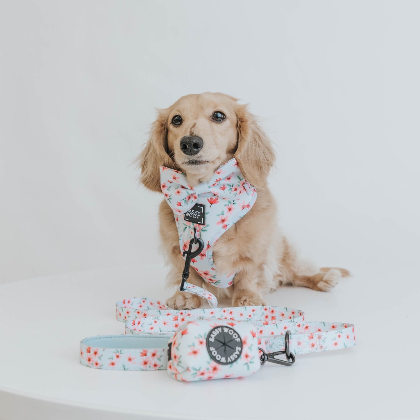 Dog Bowtie - Sakura