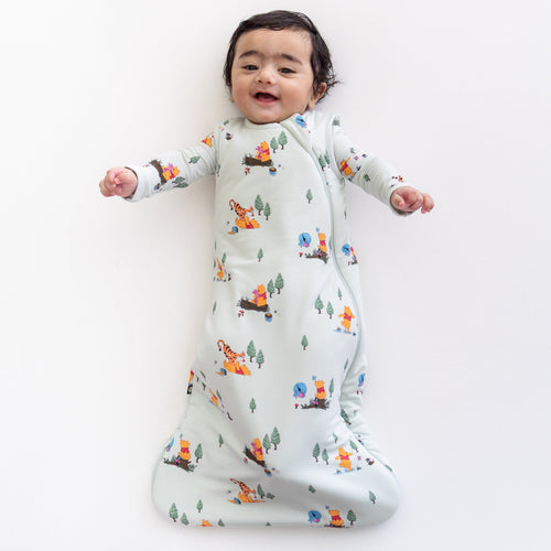 Sleep Bag in Winnie the Pooh Hundred Acre Wood 1.0